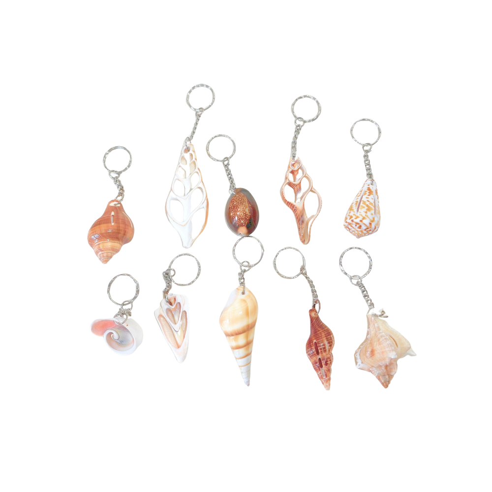 Coastal Charm Seashell Keychains