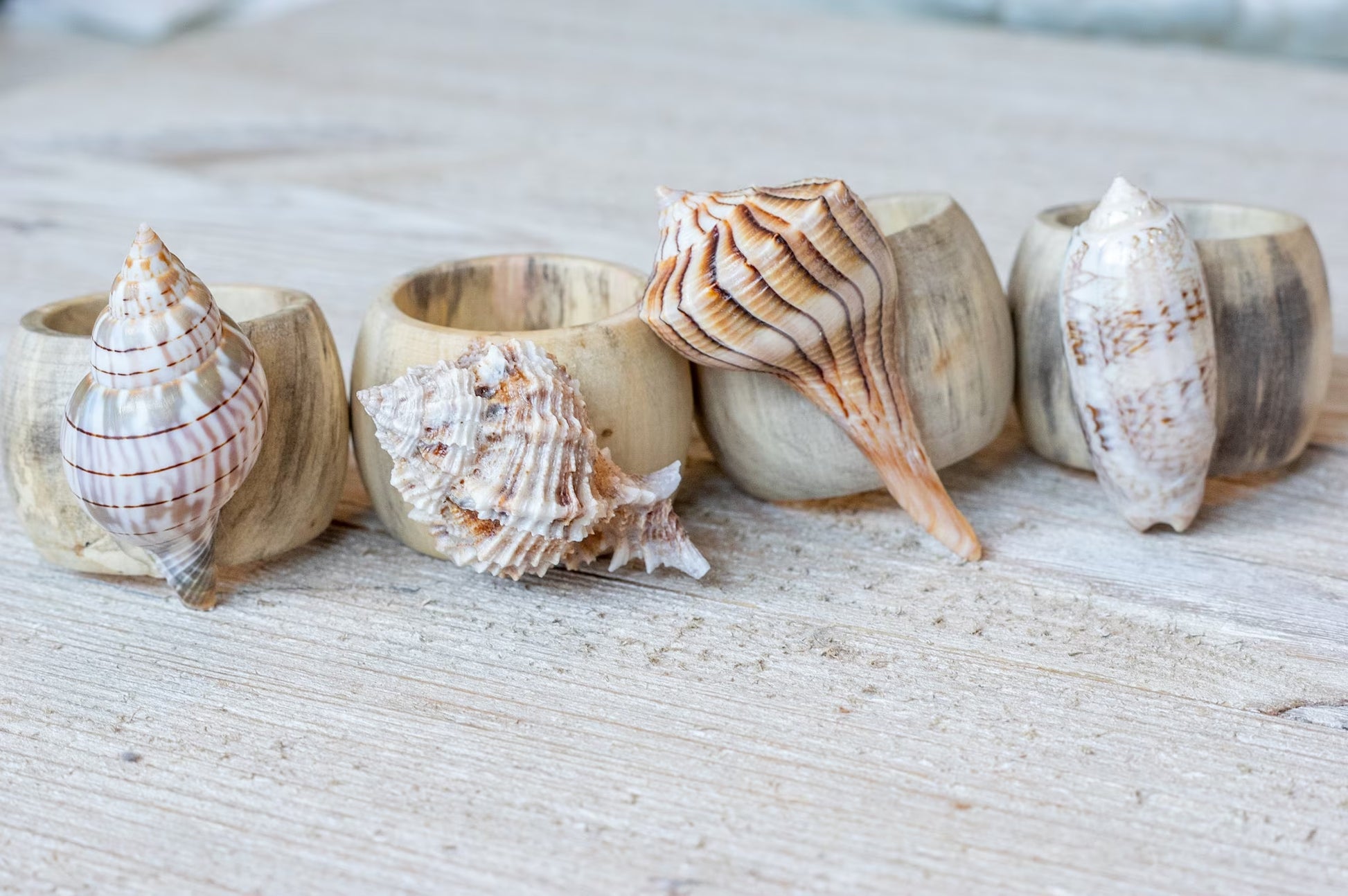 Mermaid's Table: Shell Napkin Rings