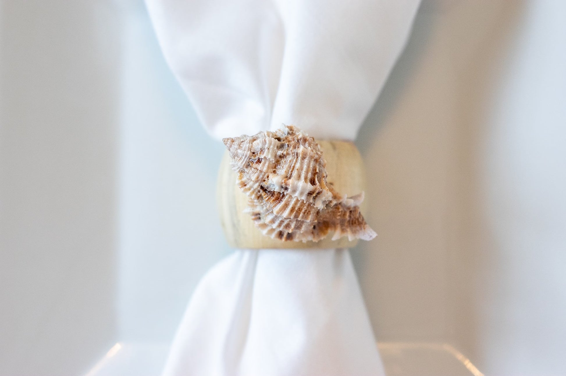 Mermaid's Table: Shell Napkin Rings