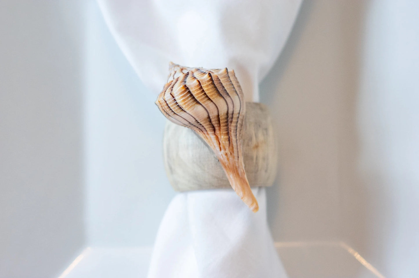 Mermaid's Table: Shell Napkin Rings