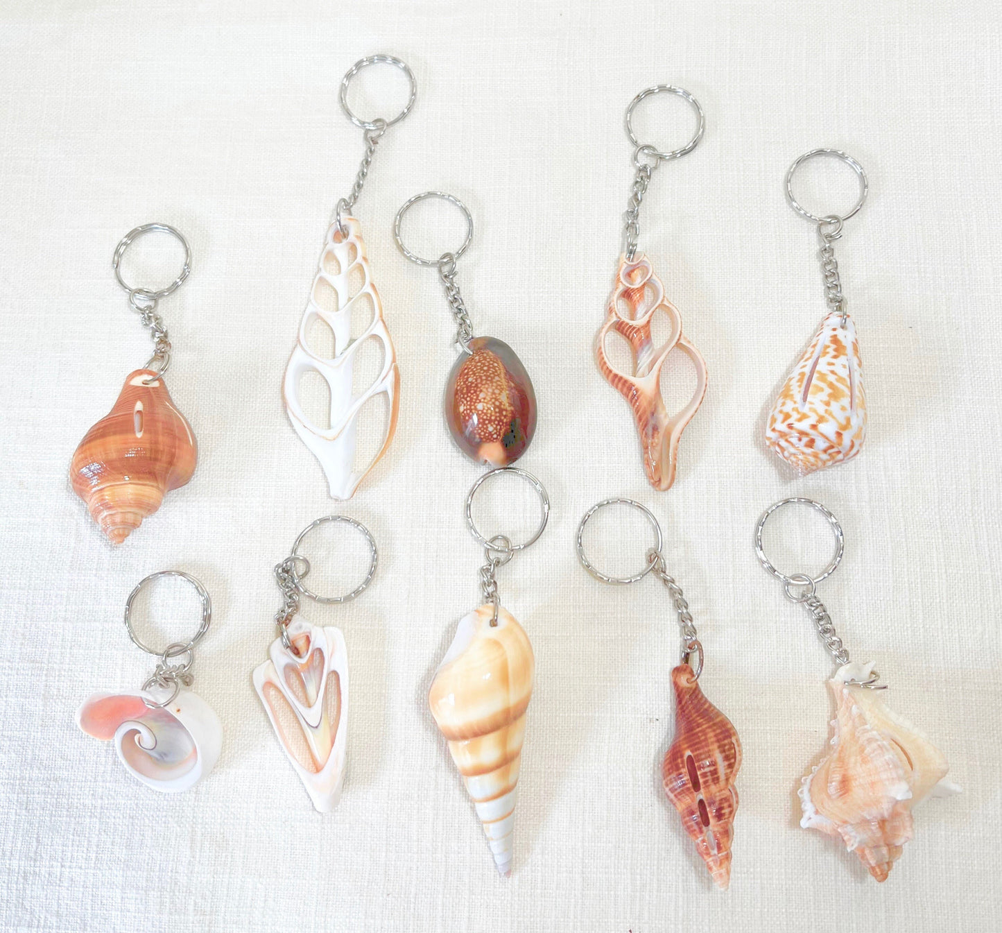 Coastal Charm Seashell Keychains