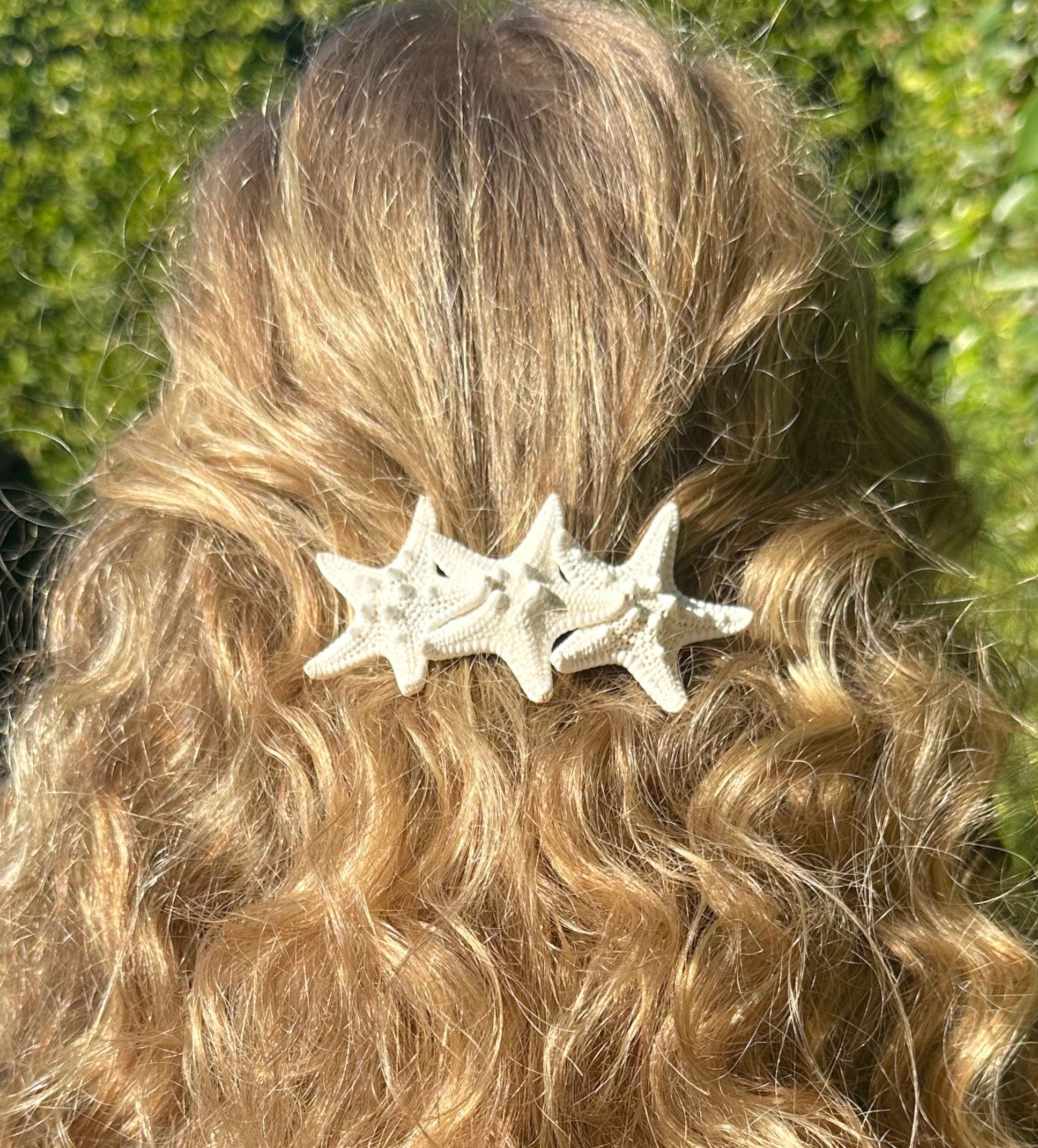 Natural Starfish & Pearl Barrettes